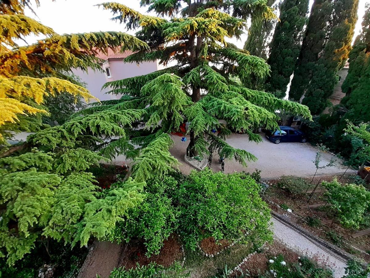 Villa Libe Baška Voda Extérieur photo