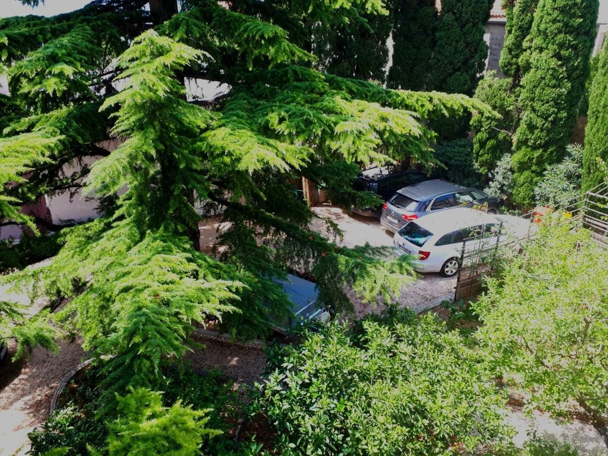Villa Libe Baška Voda Extérieur photo